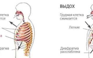 Дыхательная гимнастика для похудения