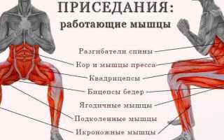 Приседания без веса