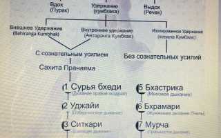 Эффективное очищение энергетических каналов с помощью Нади Шодхана пранаямы