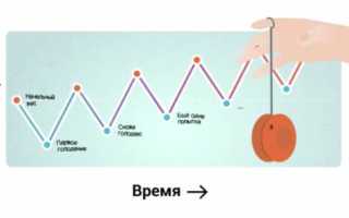 На сколько кг можно похудеть за месяц
