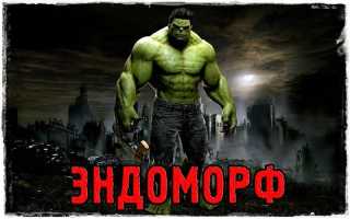 Питание для эндоморфа