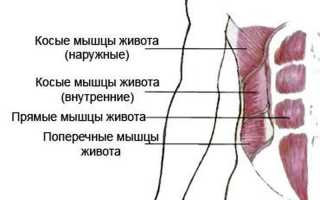 Сколько подходов делать на пресс?