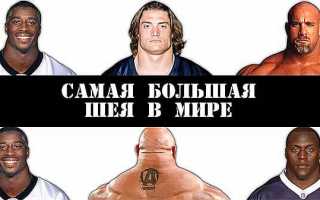 Главные правила по накачке мышц